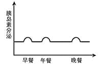 胰岛素泵工作原理