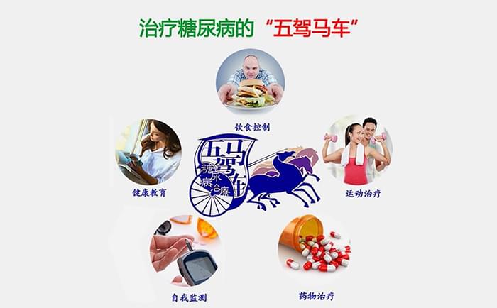 治疗糖尿病的“<a href='http://www.huxisc.com/zskt-tnb/16.html' target='_blank'><u>五驾马车</u></a>”